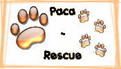 PACA Rescue forum actif